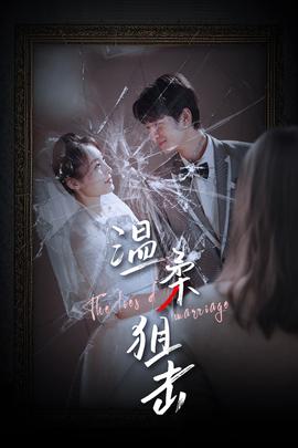 温柔狙击：婚姻迷雾